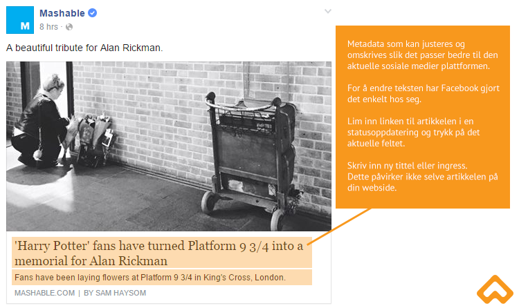 Søkemotoroptimalisering og facebook metadata